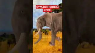 ПАЦАН КРУТО ЗАЧИТАЛ РЭП ПРО СЛОНА🤩 #мскус #рэп #слон #крутаямузыка