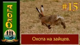 Охота на зайца . Бекас   авто ВПО 201 м.