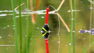 🐟 НАТЯГАВ ВІДРО КАРАСІВ в ДОЩ 🎣 Рибалка на Поплавок. Ловля карася. Риболовля в Україні.