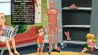 Мышцы. Развивающий мультфильм про строение мышц тела