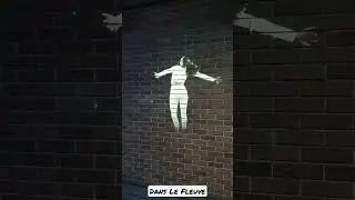 Dans Le Fleuve - Downtown Montreal - Art 