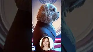 A dog in the White House... #shorts #dogs #nft