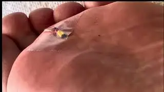 Giantess Scientist