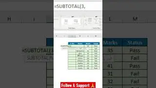 Subtotal Function Example 