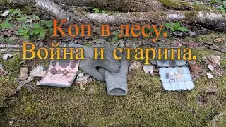 Небольшой коп в лесу по старине и войне.