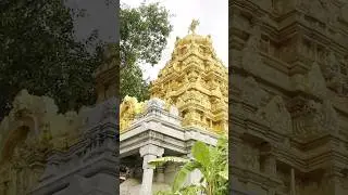 telangana's first Golden Temple in hyderabad banjaaraahils #harekrishnagoldentemple