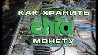 Как хранить CHIA монету