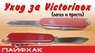 Обслуживание и уход за складным ножом Victorinox