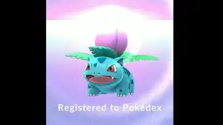 Ivysaur! Yakalaması kolay evrim geçirmesi zor! Pokemon Go