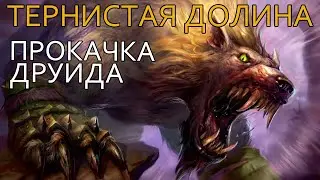 World of Warcraft: препатч Shadowlands - прокачка друида #6