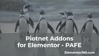 Piotnet Addons for Elementor - Overview and Front-end Form for Custom Post Type