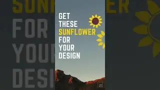 Our latest design Sunflower Clipart Bundle Pack for Cutting Machine and Printing 
