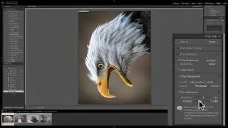 Mastering Lightroom Classic CC - 31: Print Module