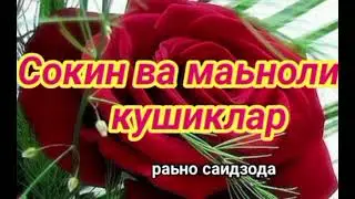 энг Сара  кушиклар  сизга  кадрдонларим