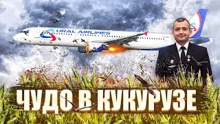 Чудо на кукурузном поле Уральских авиалиний. 15 августа 2019 года. Кукуруза. Дамир Юсупов.