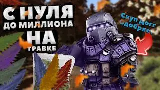 С 0 ДО 1000000 НА ТРАВКЕ (Бледолист, водонос и тд) | ДУШНЫЙ МИЛЛИОН | STALCRAFT