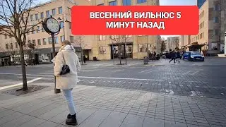 6 марта 2024 г.[Жизнь в Литве] ПРОГУЛКА ПО ПРОСПЕКТУ ВИЛЬНЮСА