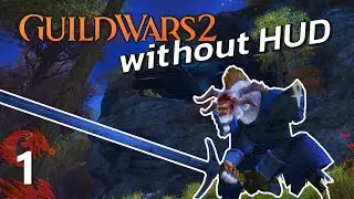 Guild Wars 2 Veteran plays without the HUD from level 1-80 | Pt.1