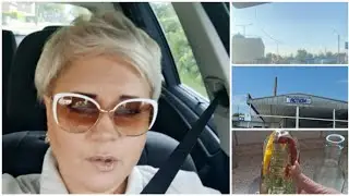 Магазин Action * Обзор* Новая Сковорода😄✌️💯* Муж Хозяин🥰