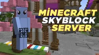 ⚔️Minecraft Ultra Op Skyblock Server - RonemaCraft