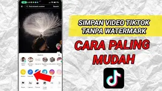 Cara Menyimpan Video Tiktok Tanpa Ada Tulisan Tiktok Terupdate