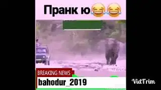 Срочно Пранк и лучшие Таджикиский приколы 2019
