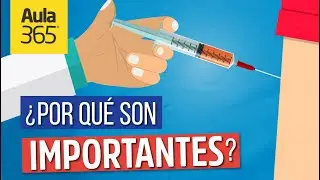 ¿Qué son las vacunas? | Videos educativos Aula365