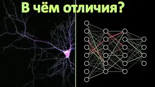 Как работает нейросеть и чем она отличается от нервной системы