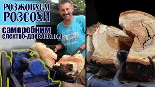🇺🇦Взимку точно холодно не буде❗️Розколюємо КОРЧІ й РОЗСОХИ саморобним ДРОВОКОЛОМ Сергія Миколайовича