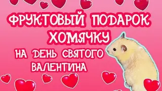 ФРУКТОВЫЙ ПОДАРОК ХОМЯЧКУ НА ДЕНЬ СВЯТОГО ВАЛЕНТИНА  ❤ #ХОМЯКИ