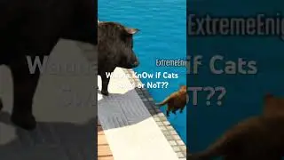 CatS SwiM or NoT?