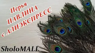 ПЕРЬЯ ПАВЛИНА | AliExpress.com