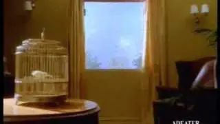 Woman fell out of the window (Женщина выпала в окно)