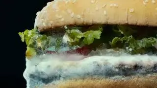 Burger King presenta un Whopper mohoso en su nuevo anuncio