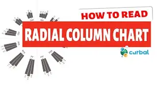 H2R #3: How to read a radial column chart