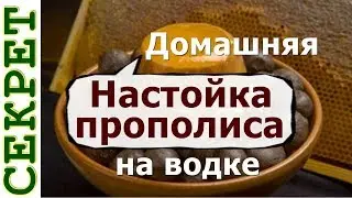 Домашняя настойка прополиса на водке - рецепт