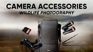 Must Have Camera Accessories for Wildlife Photography
