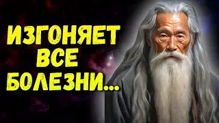 Вы сразу перестанете болеть! Как навсегда изгнать болезни из дома