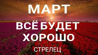 СТРЕЛЕЦ - МАРТ 2023.🍀 Прогноз на месяц. Расклад от ТАТЬЯНЫ КЛЕВЕР. Клевер таро.