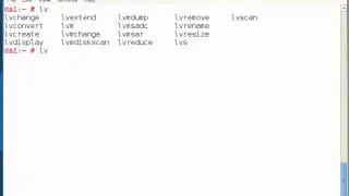 LINUX: Command line LVM Management on SUSE 11