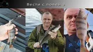 Вести с полей 3  Рыба с Набережной не ушла!