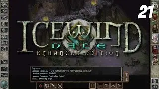 Icewind Dale: Enhanced Edition #21 - Arundel