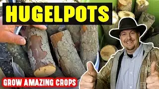Gardening in Hugelpots aka Hugelkultur in a Pot | What Happens After 5 Years Will Shock & Amaze You!