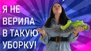 Как зарядить пипидастр? Решилась-таки на фитосветильники!