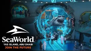 SEA WORLD  YAS ISLAND ABU DHABI  | THE FUTURE IS HERE 🦈🦈