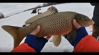 Ловля САЗАНА! ШОК!!! САЗАН, СУДАК, ОКУНЬ, ЛЕЩ! Сазан весной. Сазан на балансир окунь на безмотылку!
