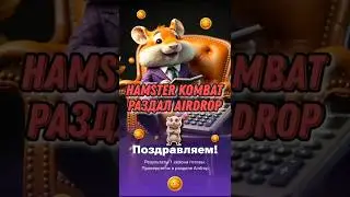 Hamster Kombat раздал деньги. Сколько токенов хомяка мы получим? 