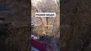 Дачный обзор