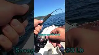 Спиннинг в ДУГУ, клюнул ТРОФЕЙ! #short