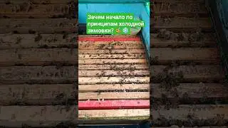 Зачем начало по принципам холодной зимовки? #пчелы #зимовкапчел #пчеловодство #пасека